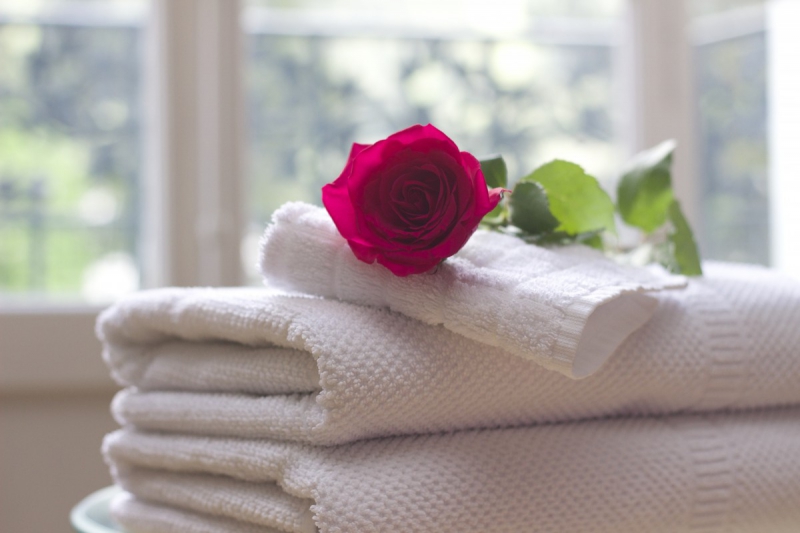 chambre-hote-TOUDON-min_towel_rose_clean_care_salon_spa_white_bath-731641